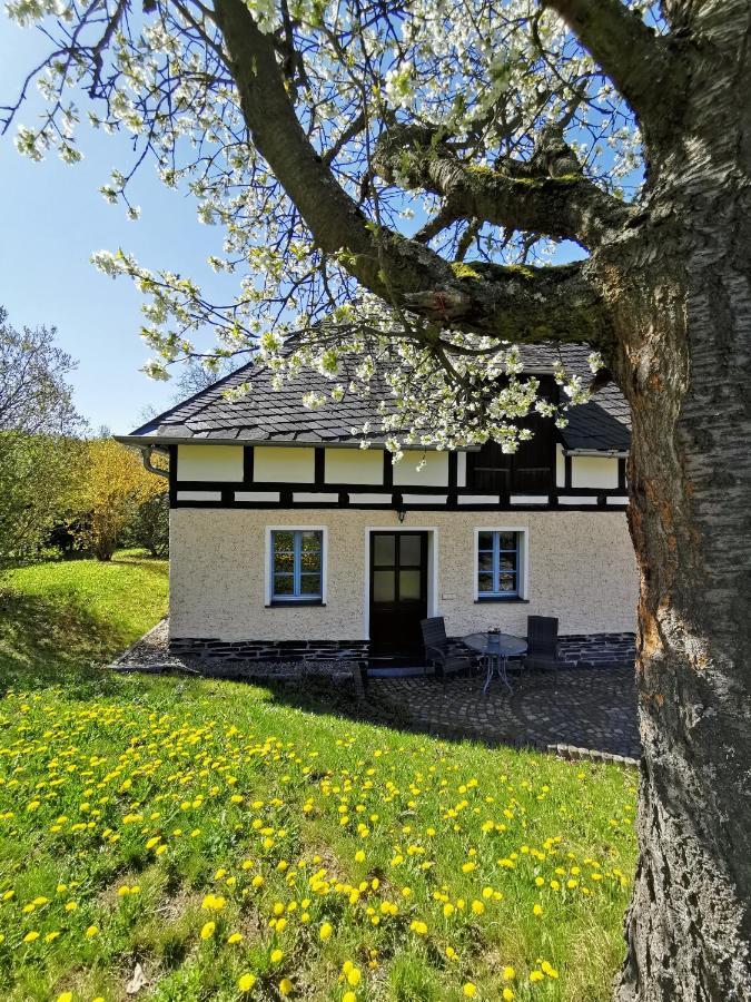 Ferienwohnung "Am Saalehaken" Gossitz Exteriér fotografie